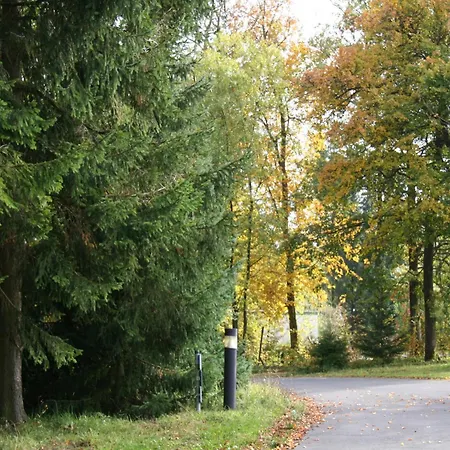 In Eifel Near Forest And Mountains