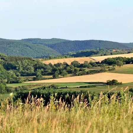 In Eifel Near Forest And Mountains Hinterhausen