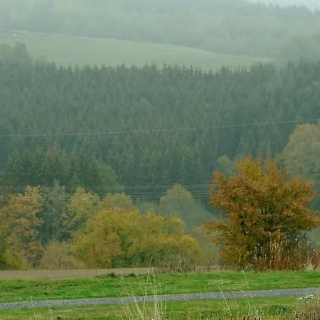 In Eifel Near Forest And Mountains