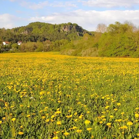 In Eifel Near Forest And Mountains Semesterbostad Hinterhausen