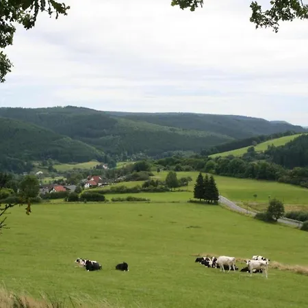 In Eifel Near Forest And Mountains